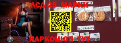 индика Новозыбков