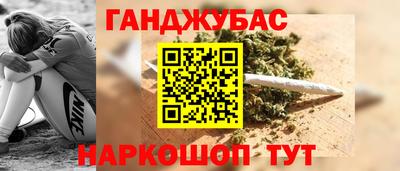 индика Новозыбков