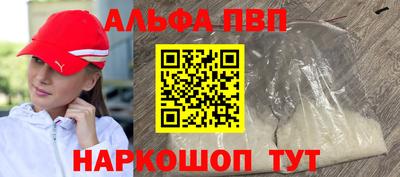 индика Новозыбков