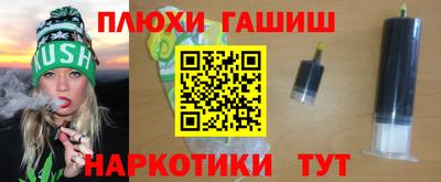 индика Новозыбков