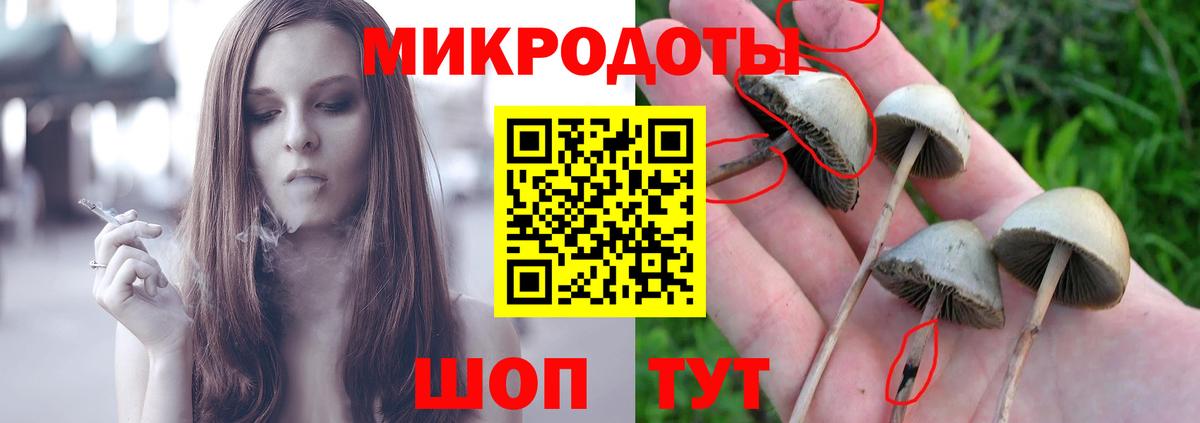 Галлюциногенные грибы GOLDEN TEACHER  Псилоцибиновые грибы MAGIC MUSHROOMS  Вход с VPN  Ульяновск 
